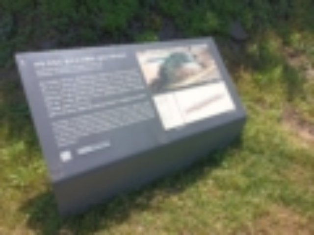 24년 3학년 역사여행-제주4.3(4일차)